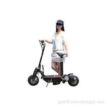 Two wheel EVO E Scooter 48V ,  Mini Electric Scooter 1000w